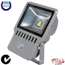 3 years warranty Bridgelux chip Meanwell SAA approved led flood light 100w
